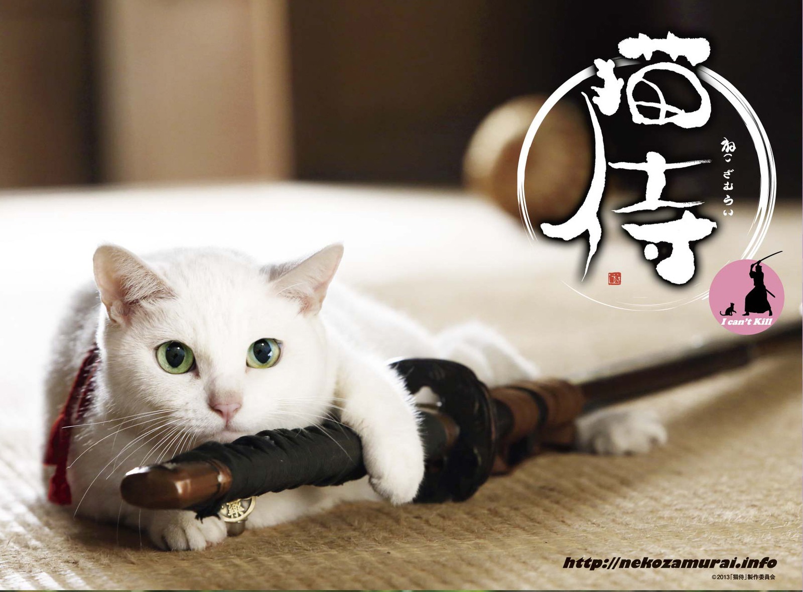 Affiche du film Neko Samourai