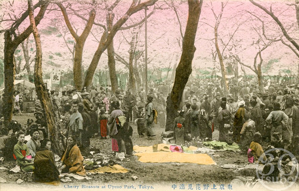 Une propreté toute relative lors de ce hanami du début de l'ere Meiji